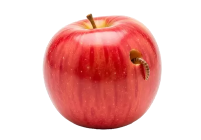 Imagen PNG para descargar